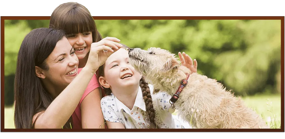 Group of girls with a fluppy dog smelling a small flower.