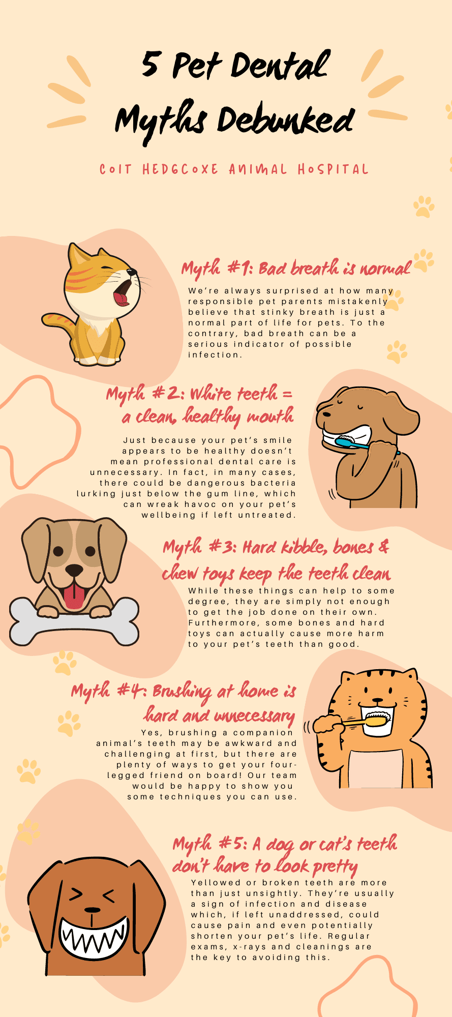 5 Pet Dental Myths Debunked
