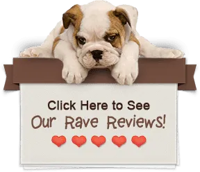 Click here to see our rave reviews!
