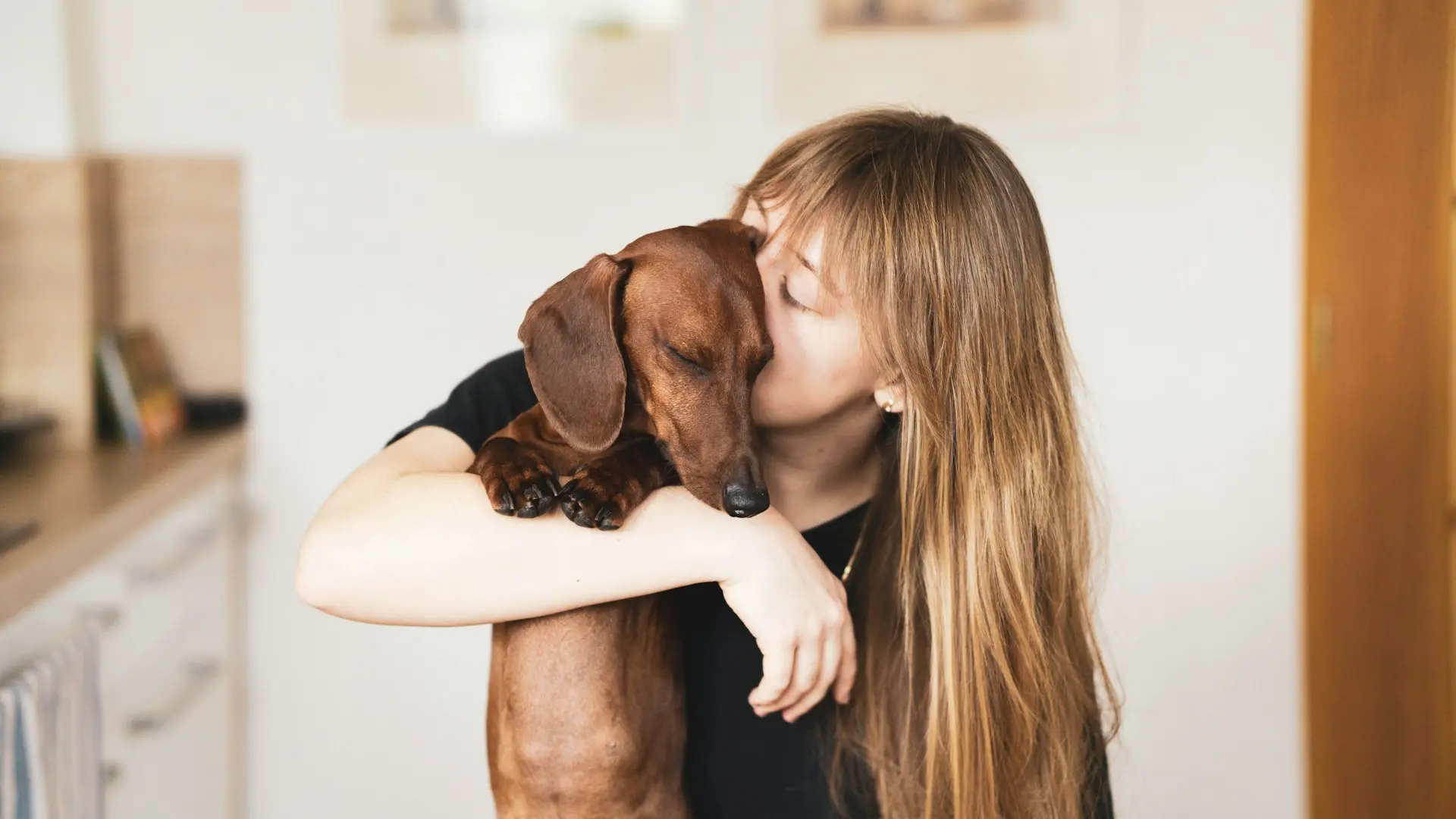 A woman is holding and gently kissing a brown dachshund dog in a bright indoor setting.