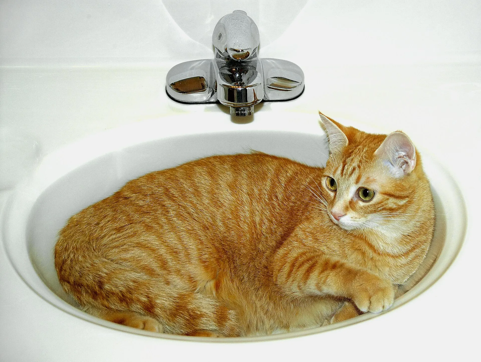 An orange tabby cat is resting on a sink.